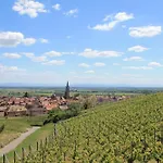 Jango - Au Calme Des Vignes - Parking Privatif & Animaux Bienvenus Apartmán