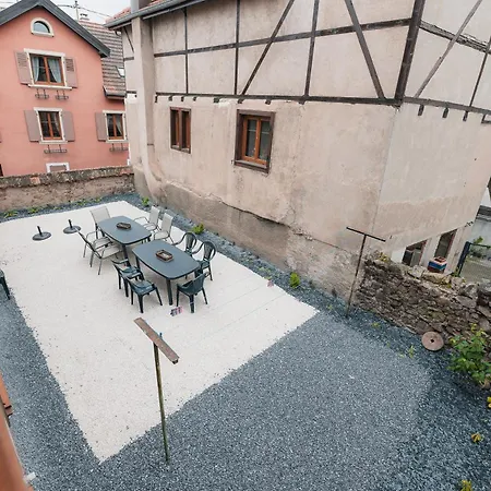 Jango - Au Calme Des Vignes - Parking Privatif&animaux Bienvenus Dambach