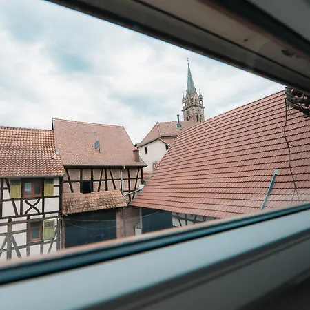 Jango - Au Calme Des Vignes - Parking Privatif&animaux Bienvenus Dambach