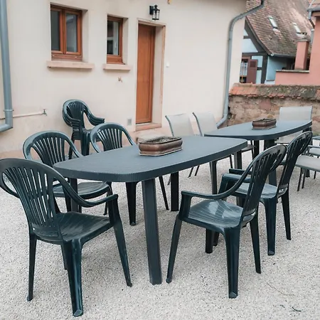 Appartement Jango - Au Calme Des Vignes - Parking Privatif&animaux Bienvenus Dambach