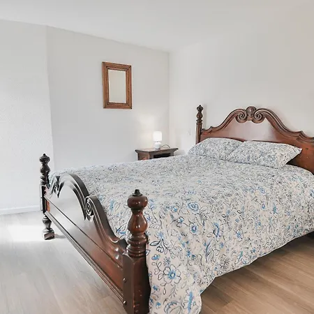 Jango - Au Calme Des Vignes - Parking Privatif&animaux Bienvenus * Dambach