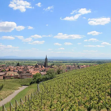 Jango - Au Calme Des Vignes - Parking Privatif&animaux Bienvenus Appartement